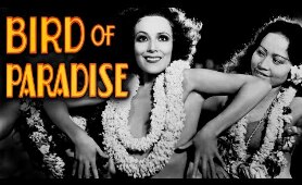 Bird Of Paradise - Full Movie | Dolores del Rio, Joel McCrea, John Halliday, Richard Gallagher