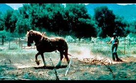 High Lonesome | Classic WESTERN Movie | English | Free Film in Full Length | Cowboy Film